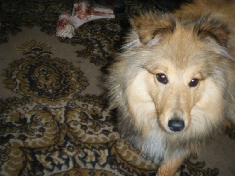 Pictures Weekend Away 495